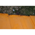S0015_2