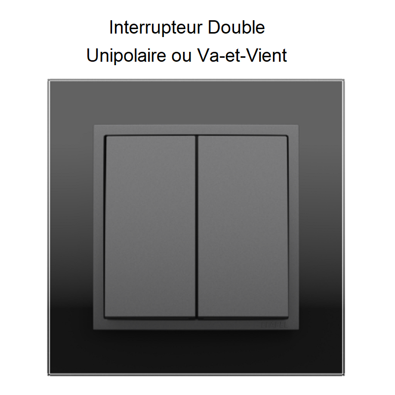 Interrupteur double CES