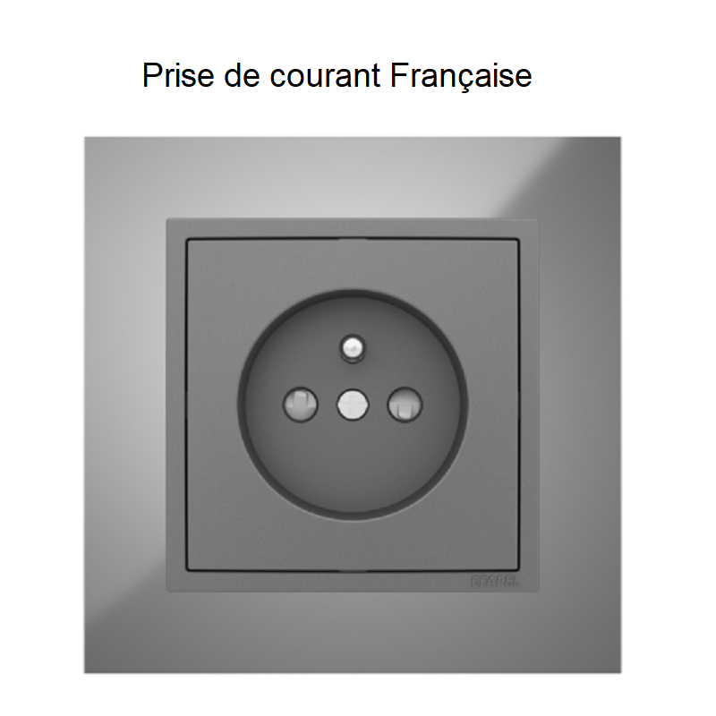 Prise Française CRS