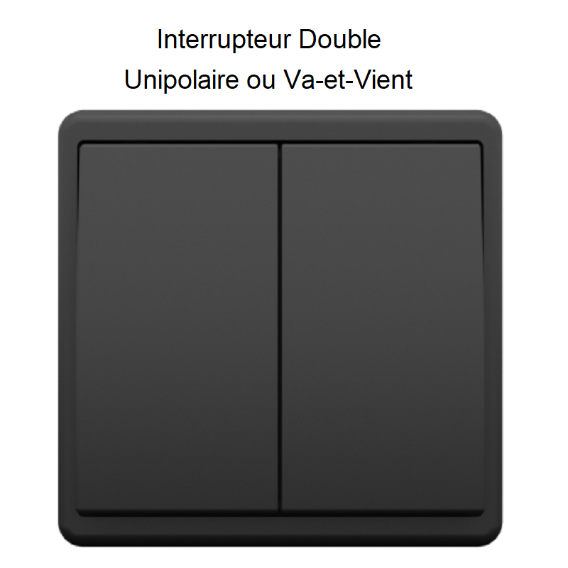 Interrupteur double 50CPT