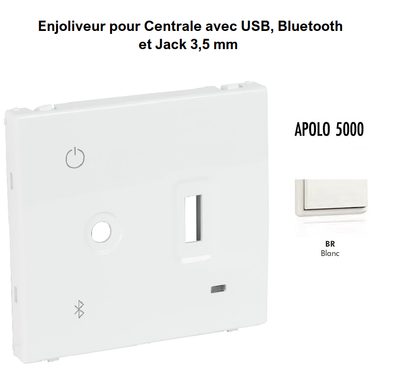 enjoliveur-pour-centrale-avec-usb-bluetooth-et-jack-3-5-mm-50856tbr