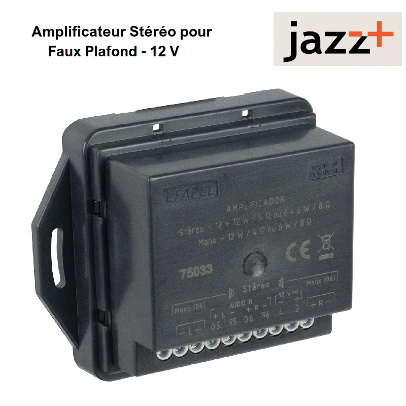 Amplificateur Stéréo pour Faux Plafond 12V