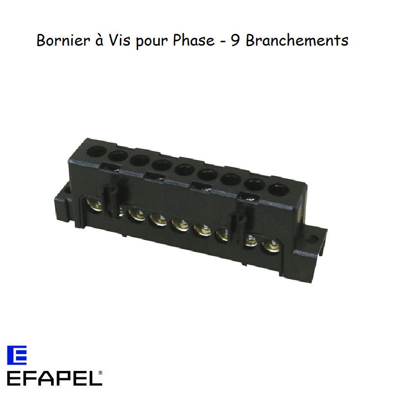 Bornier à vis pour phase 60901