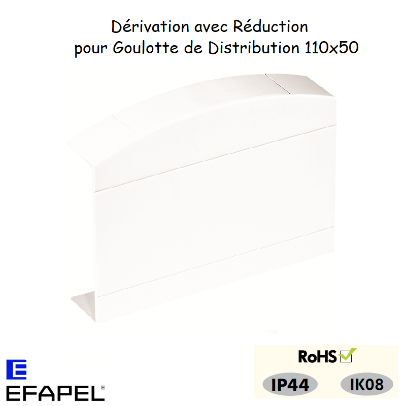 Dérivation avec réduction pour goulotte série 10 distribution 10098