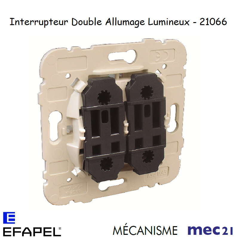 Double interrupteur ou va-et-vient 10AX avec support, enjoliveur et Double interrupteur ou va-et-vient 10AX avec support, enjoliveur et