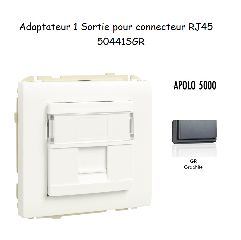 Adaptateur avec 1 module 1 sortie pour connecteur RJ45 Apolo 50441SGR Graphite