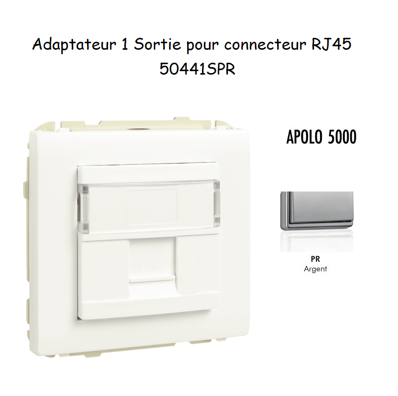 Adaptateur avec 1 module 1 sortie pour connecteur RJ45 Apolo 50441SPR Argent