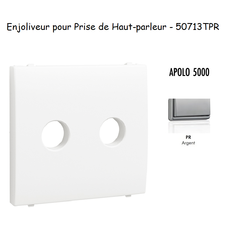 Enjoliveur pour prise de haut parleur a terminaux à vis APOLO5000 50713TPR Argent