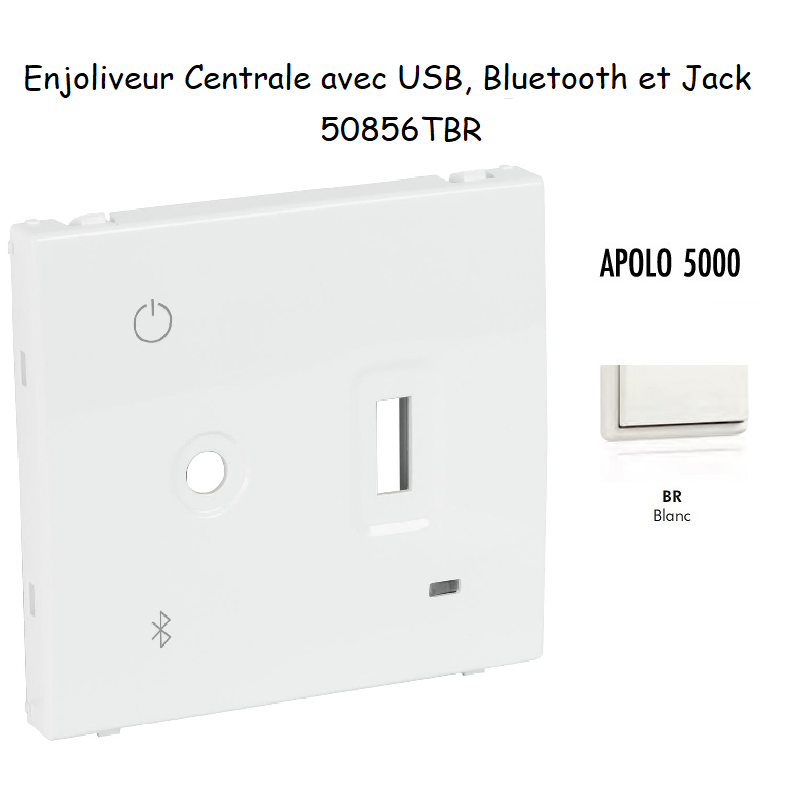 Enjoliveur pour Centrale avec USB, Bluetooth et Jack 3,5 mm 50856TBR
