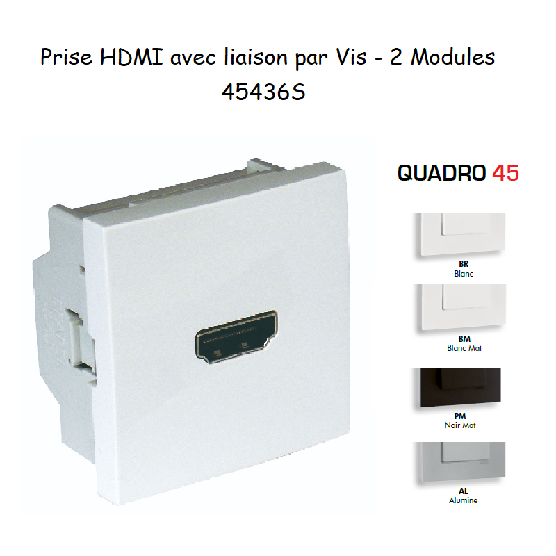 Prise HDMI 2 modules Quadro 45436S