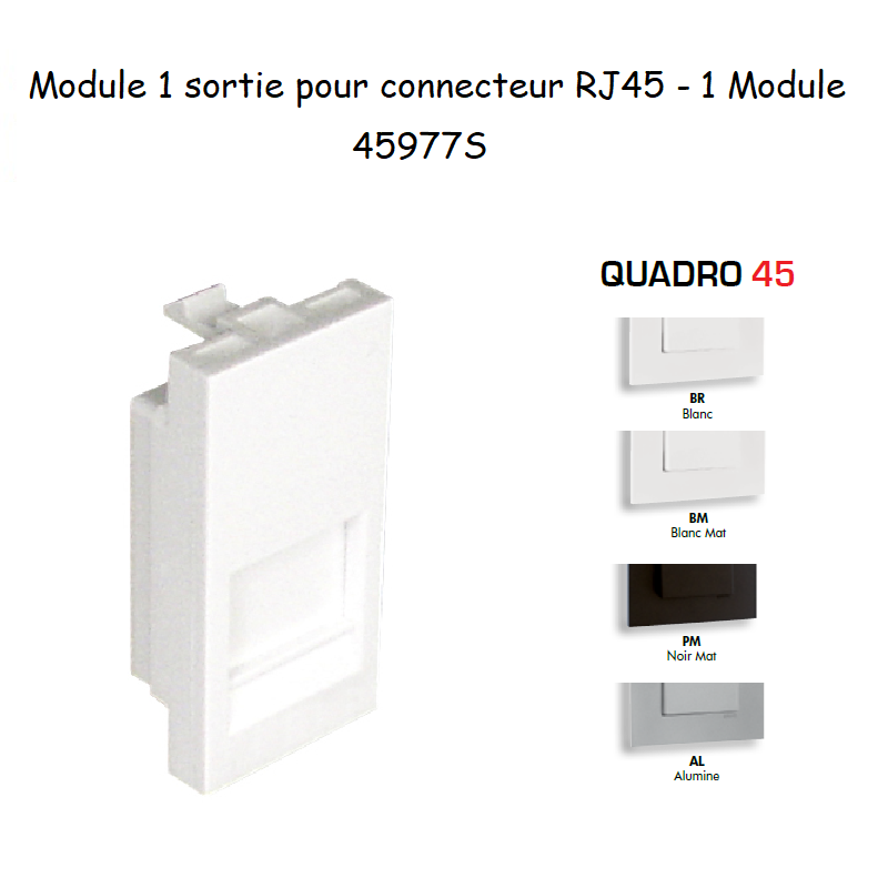 Module 1 sortie pour connecteur RJ45 45977S