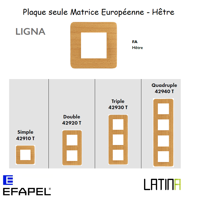 Plaque LIGNA matrice européenne 42910TFA 42920TFA 42930TFA 42940TFA Hêtre