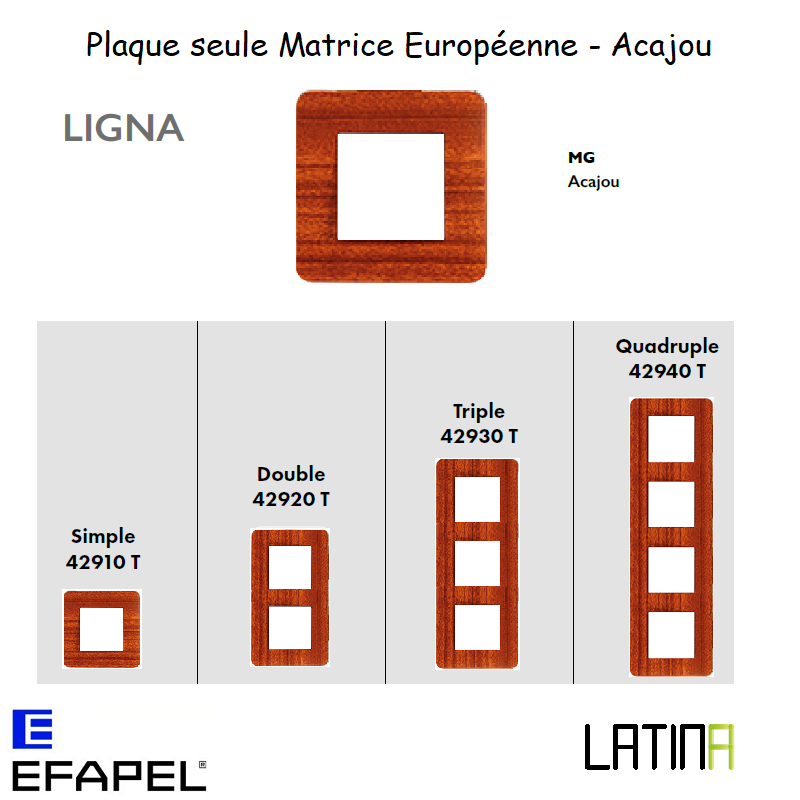 Plaque LIGNA matrice européenne 42910TMG 42920TMG 42930TMG 42940TMG ACAJOU
