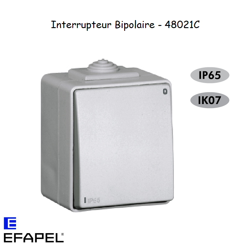 Interrupteur Bipolaire Etanche 48 EFAPEL 48021C