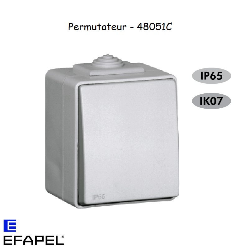 Interrupteur Permutateur Inevrseur Etanche 48 EFAPEL 48051C