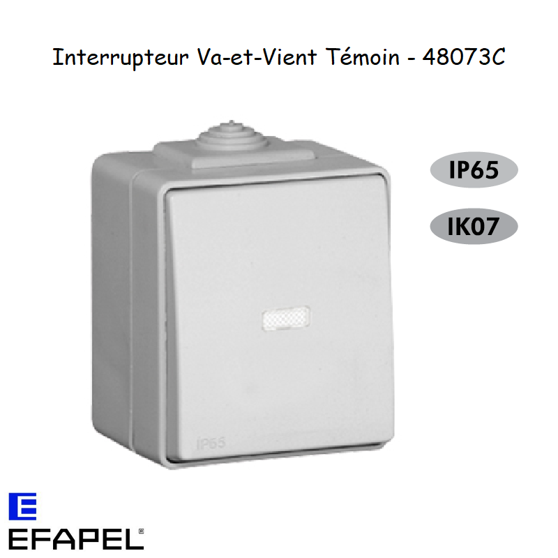 Interrupteur Va-et-Vient Témoin Etanche 48 EFAPEL 48073C