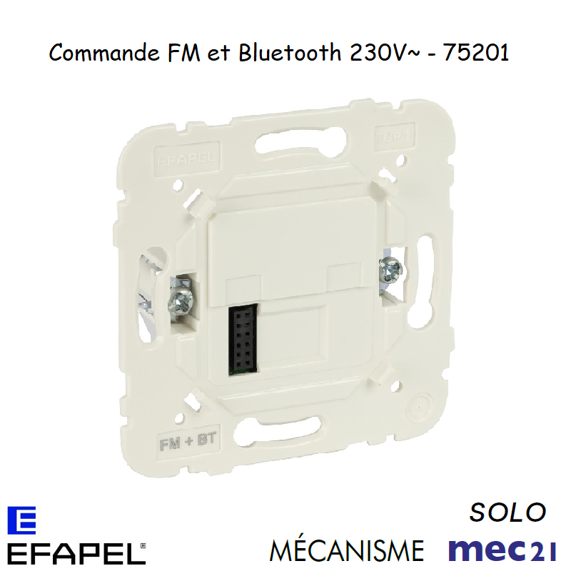 Commande FM et Bluetooth 230 V~ 75201