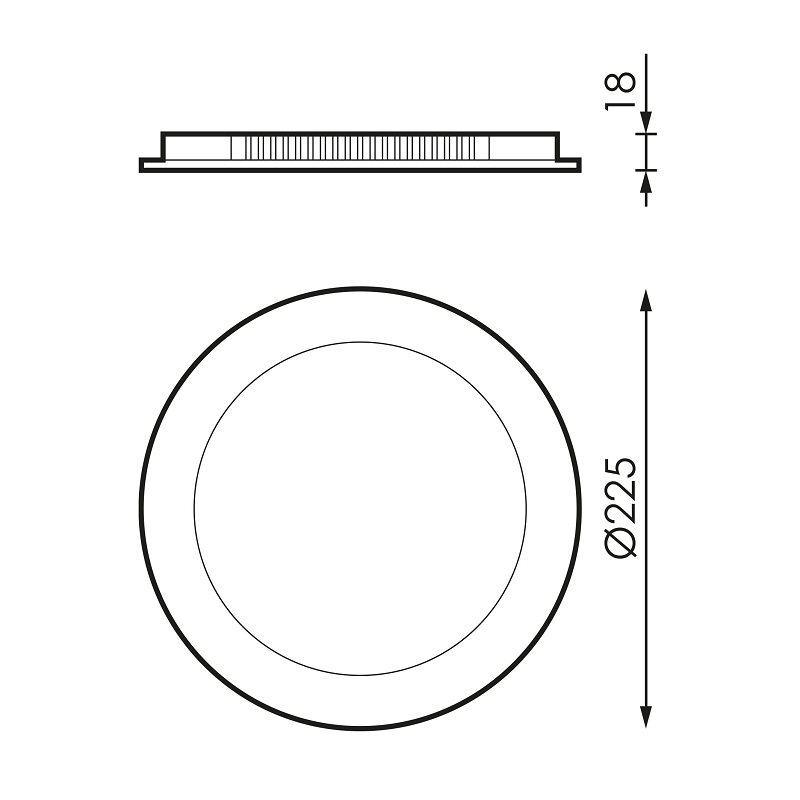 590549 dimensions