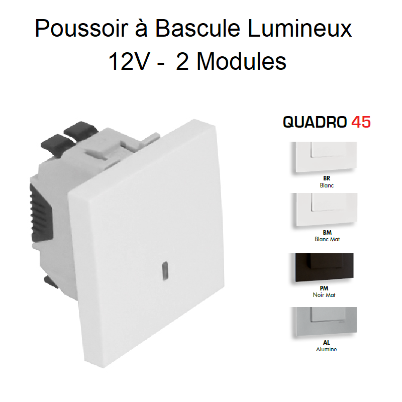 Poussoir à bascule Lumineux 12V 2 modules Quadro 45162S