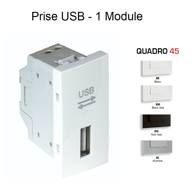Prise USB Semi-Assemblée Quadro45 - 1 Module