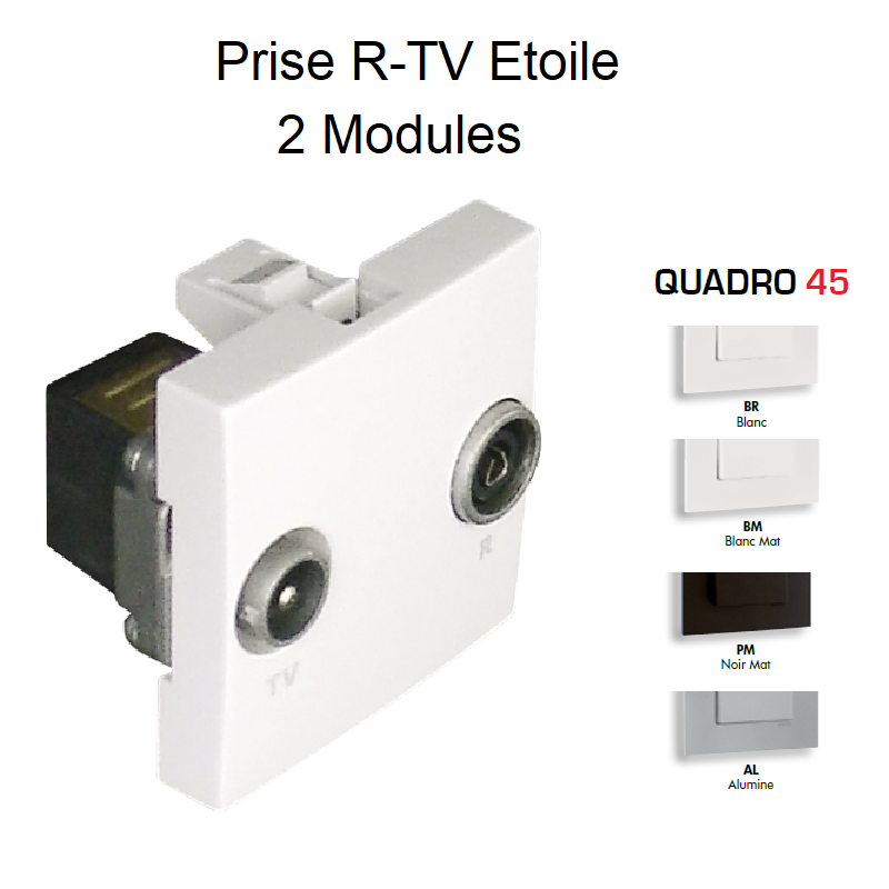 Prise R-TV Etoile Quadro 45533S