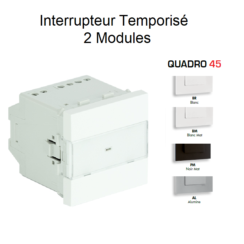 Interrupteur Temporisé Quadro 45 - 2 Modules