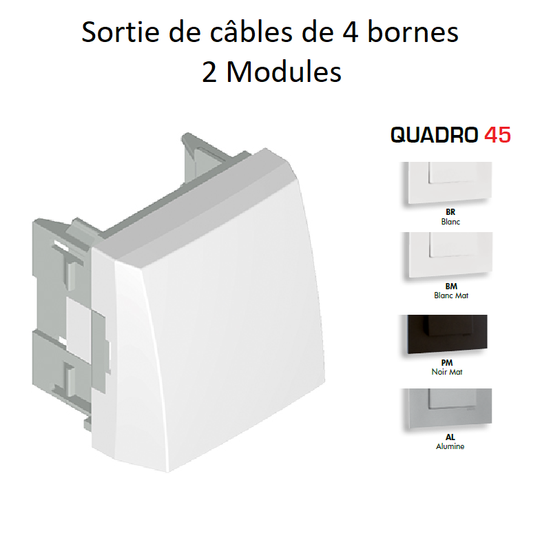 Sortie de câbles 2 modules de 4 bornes 45174S