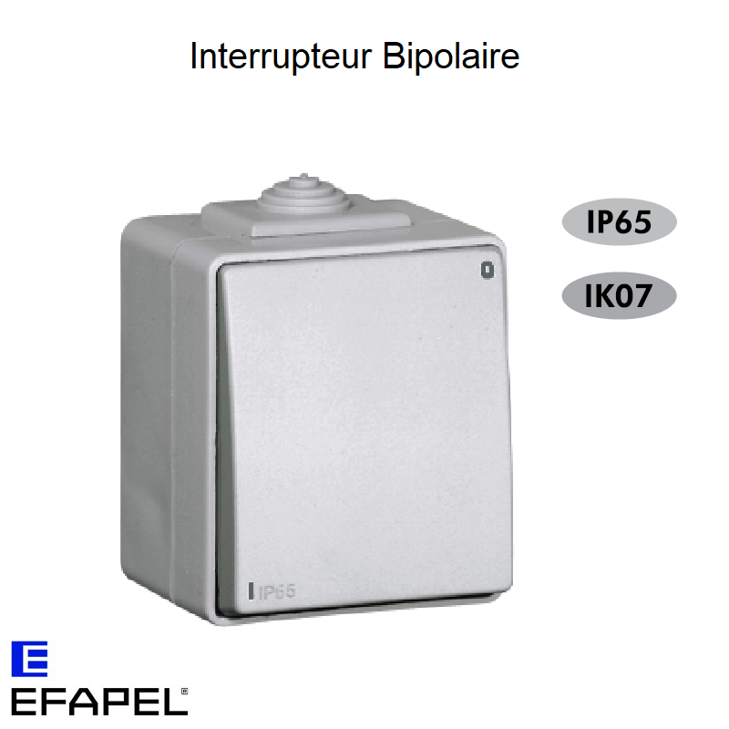 Interrupteur Bipolaire IP65 Gris ou Blanc