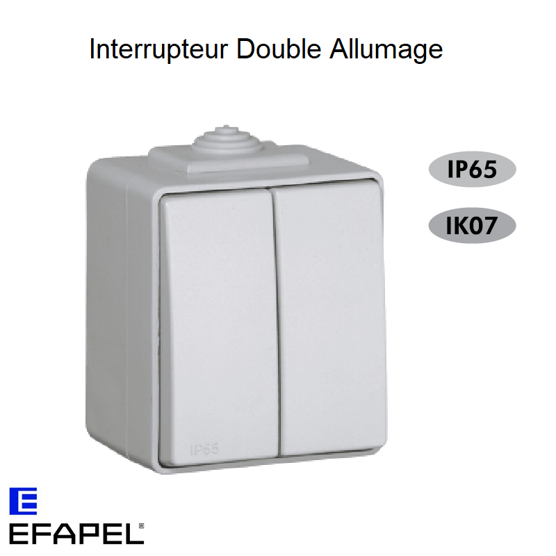 Interrupteur Double Allumage IP65 Gris ou Blanc