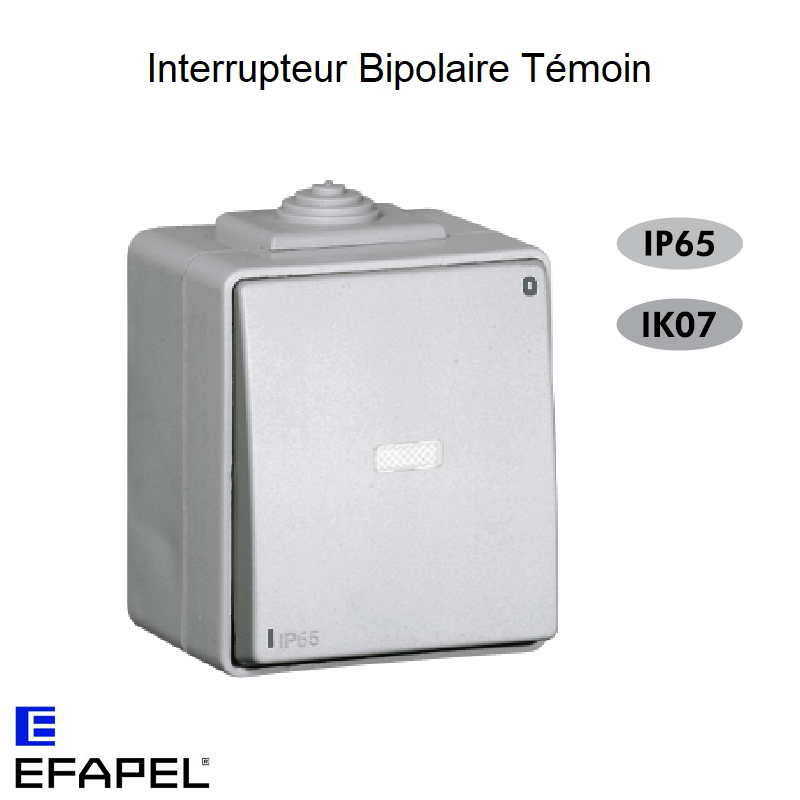 Interrupteur Bipolaire Témoin IP65 Gris ou Blanc