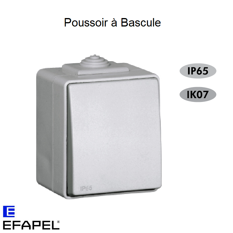 Interrupteur Poussoir à Bascule Etanche 48 EFAPEL 48151C