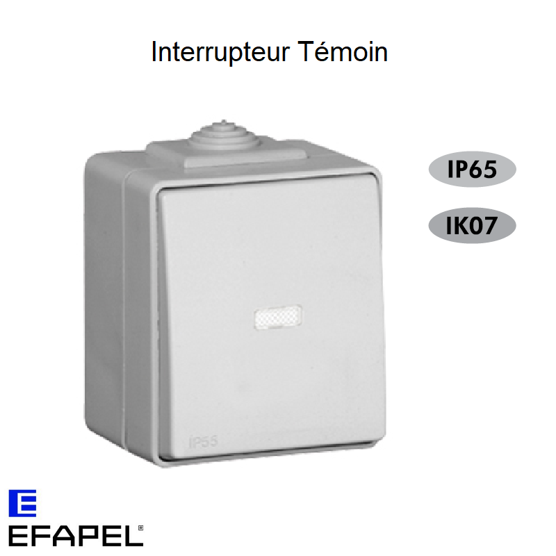 Interrupteur Témoin IP65 Gris ou Blanc