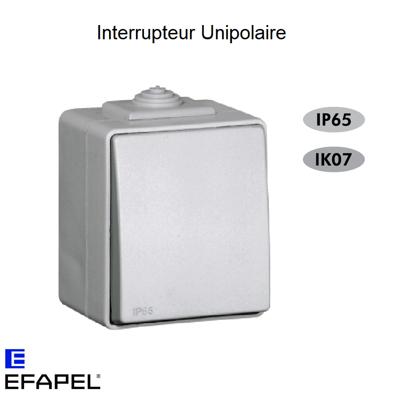 Interrupteur Unipolaire IP65 Gris ou Blanc