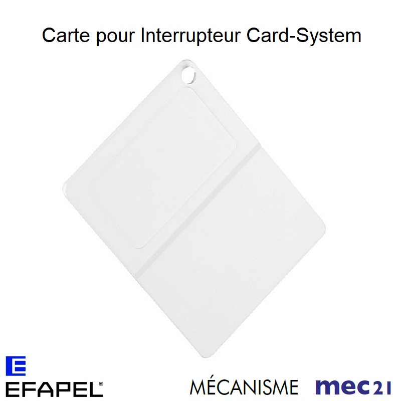 Carte pour interrupteur card system 21999