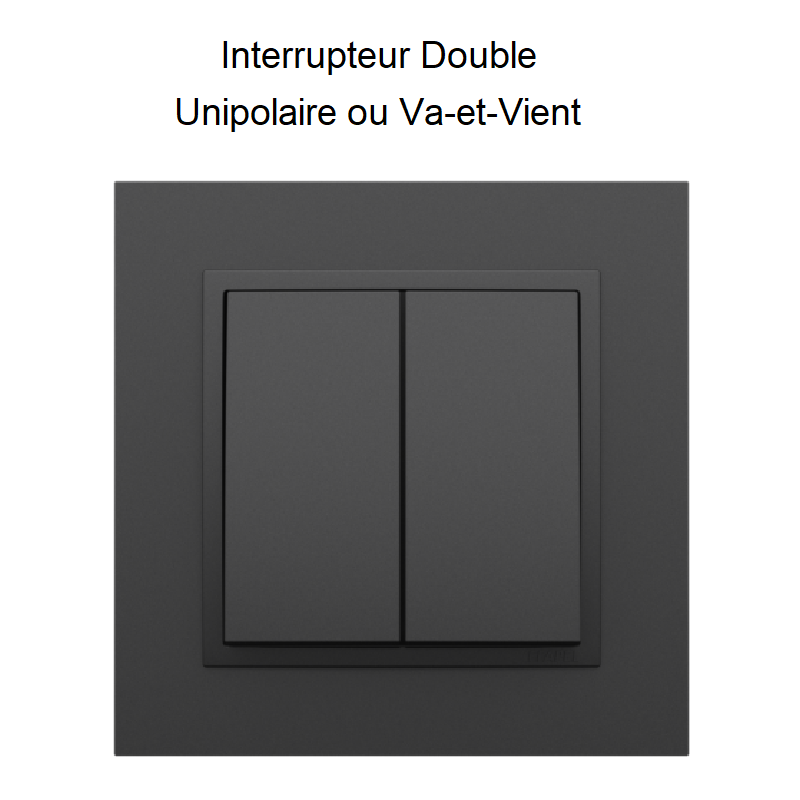 interrupteut double CRR