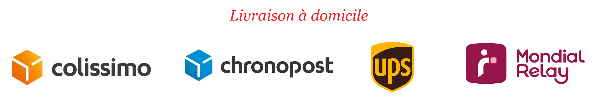 logo livraisons domicile