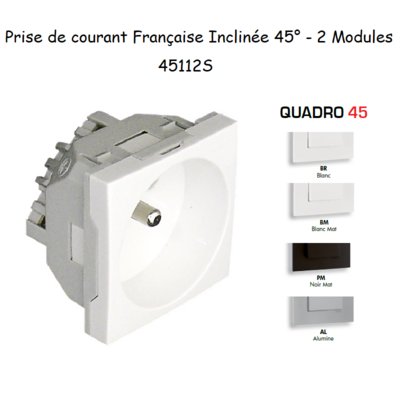Prise de courant française inclinée 45° 2 modules Quadro 45112S