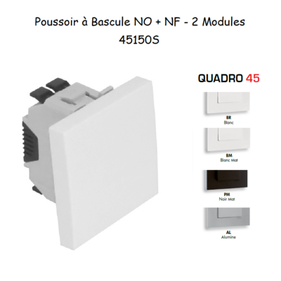 Poussoir à bascule NO+NF 2 modules Quadro 45150S