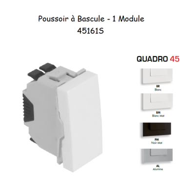 Poussoir à bascule 1 module Quadro 45161S