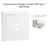 Enjoliveur pour Chargeur Double USB Type C 90675TGE