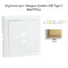 Enjoliveur pour Chargeur Double USB Type C 90675TDU