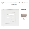 Enjoliveur pour commande générale de persienne APOLO5000 50311TPL Platine