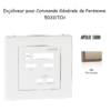 Enjoliveur pour commande générale de persienne APOLO5000 50311TCh Champagne