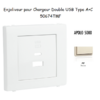 Enjoliveur pour Chargeur Double USB Type A + Type C 50674TMF