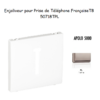 Enjoliveur pour prise de téléphone Française T8 Apolo 50718TPL Platine