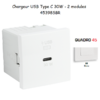 Chargeur USB Type C Power Delivery - 2 Modules 45398SBR