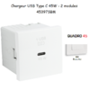 Chargeur USB Type C Power Delivery - 2 Modules 45W 45397SBM