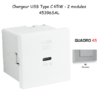 Chargeur USB Type C Power Delivery - 2 Modules 65W 45396SAL