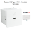 Chargeur USB Type C Power Delivery - 2 Modules 65W 45396SBR
