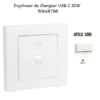 Enjoliveur pour Chargeur USB Type C Power Delivery 30w 50668TBR